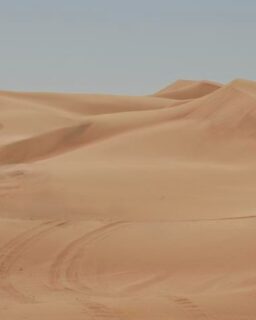 Researchers at the University of Sharjah have developed sustainable bricks made from desert sand and alkali-activated binders. The innovation offers a lower-carbon alternative to Portland cement and fired-clay bricks. It could help reduce the environmental impact of masonry construction, especially in arid regions.

Read more at MaterialDistrict.com

#MaterialInspiration #Materials #DesertSandBricks #SustainableConstruction #LowCarbonMaterials #CircularConstruction #AlkaliActivatedBinders #GreenBuilding #MaterialInnovation #MasonryDesign