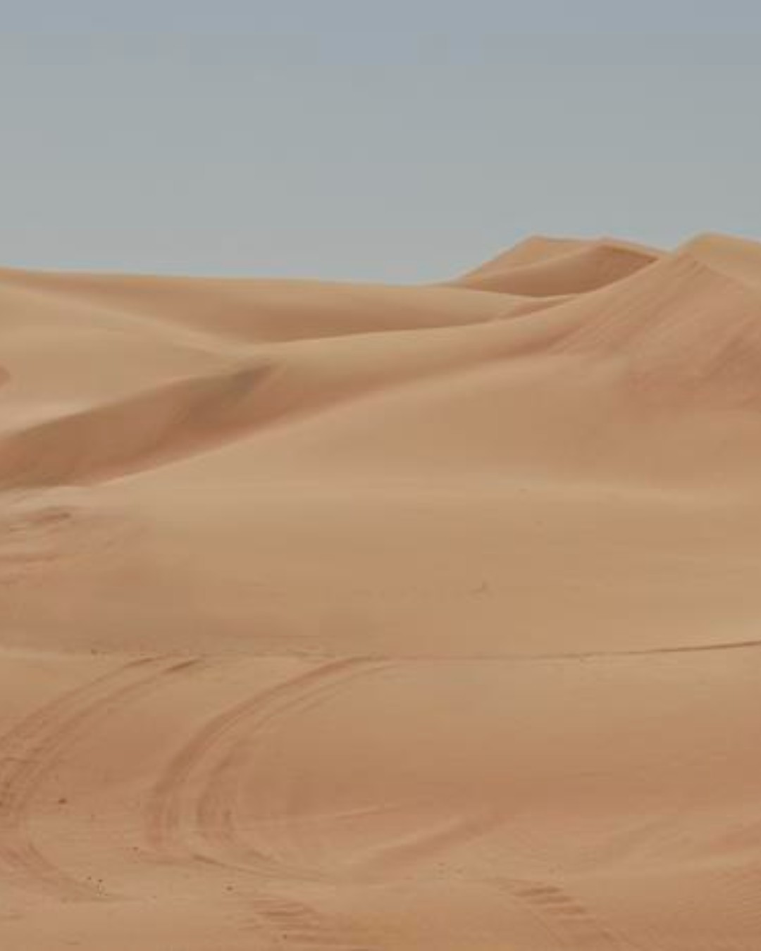 Researchers at the University of Sharjah have developed sustainable bricks made from desert sand and alkali-activated binders. The innovation offers a lower-carbon alternative to Portland cement and fired-clay bricks. It could help reduce the environmental impact of masonry construction, especially in arid regions.

Read more at MaterialDistrict.com

#MaterialInspiration #Materials #DesertSandBricks #SustainableConstruction #LowCarbonMaterials #CircularConstruction #AlkaliActivatedBinders #GreenBuilding #MaterialInnovation #MasonryDesign