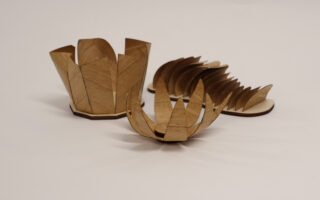 Moisture-responsive wood veneer