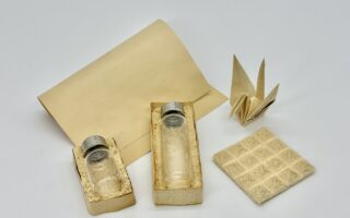 Fungal Mycelium Foams & Films