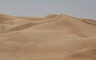 Eco-Friendly Desert Sand Bricks Offer Low-Carbon Alternative To Portland Cement