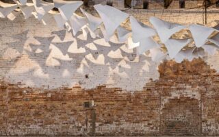 Flight Into Shadow Explores Mycelium, Light And Climate-Responsive Design