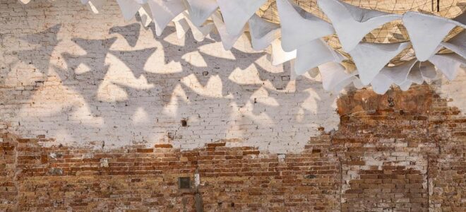 Flight Into Shadow Explores Mycelium, Light And Climate-Responsive Design