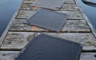 Forest-Based Bio-Resins Offer Circular Alternative For High-Performance Composites