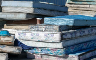 Fungi Transform End-Of-Life Mattresses Into Lightweight Fire-Resistant Insulation