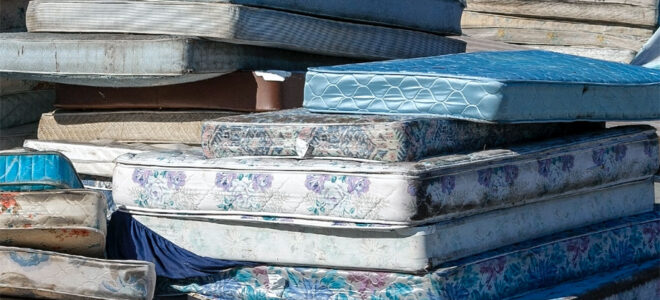 Fungi Transform End-Of-Life Mattresses Into Lightweight Fire-Resistant Insulation