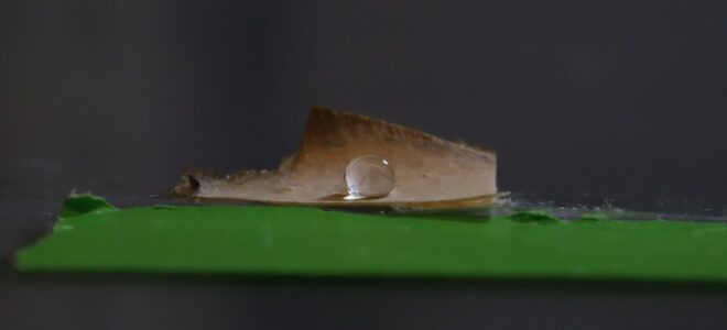 Mycelium And Cellulose Nanofibrils Form Plastic-Free Food Packaging