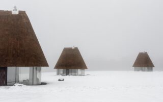 Reed, Timber And Glass Shape A Contemporary Ukrainian Guesthouse Concept