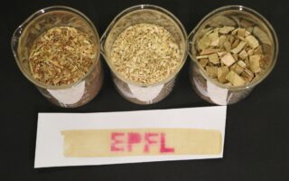 Safer Thermal Paper Made From Wood-Based Materials