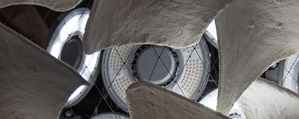 Flight Into Shadow Explores Mycelium, Light And Climate-Responsive Design