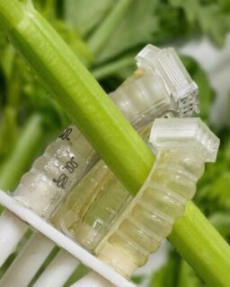 Researchers at @snu.official have developed stretchable soft robotic fingers made from plant-based, biodegradable materials. After use, the devices break down in soil and support plant growth. This innovation offers a promising direction for zero-waste electronics and robotics, relevant for product designers and material developers working with sustainable technologies.

Read more at MaterialDistrict.com

#MaterialInspiration #Materials #SoftRobotics #BiodegradableMaterials #CircularDesign #SustainableInnovation #MaterialInnovation #Biobased #Ewaste #FutureMaterials #ProductDesign #GreenTech