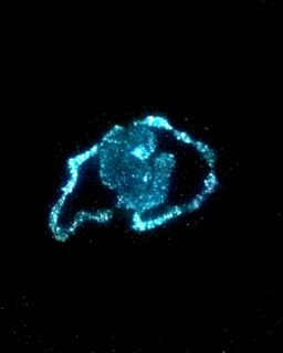 Researchers at @CUBoulder have developed a new way to use living algae as a light source. Their work shows how designers could use biology instead of electricity to create illumination. This approach opens up new possibilities for sustainable and bio-integrated materials.

Read more at MaterialDistrict.com

#MaterialInspiration #Materials #Bioluminescence #AlgaeMaterials #LivingMaterials #SustainableDesign #BioBased #MaterialInnovation #CircularDesign #3DPrinting #FutureMaterials