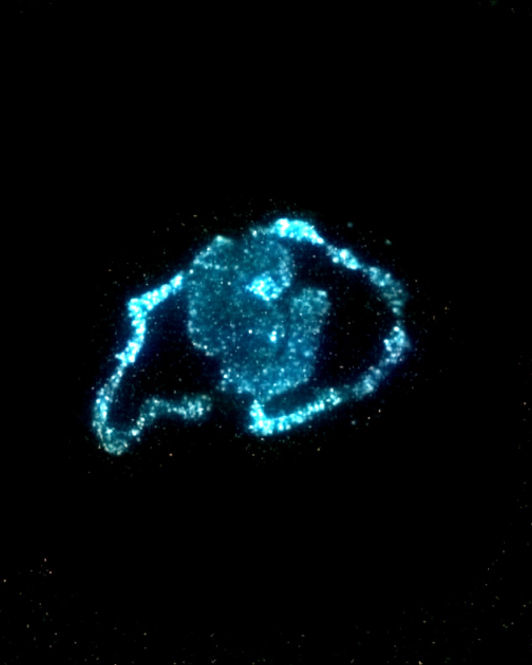 Researchers at @CUBoulder have developed a new way to use living algae as a light source. Their work shows how designers could use biology instead of electricity to create illumination. This approach opens up new possibilities for sustainable and bio-integrated materials.

Read more at MaterialDistrict.com

#MaterialInspiration #Materials #Bioluminescence #AlgaeMaterials #LivingMaterials #SustainableDesign #BioBased #MaterialInnovation #CircularDesign #3DPrinting #FutureMaterials