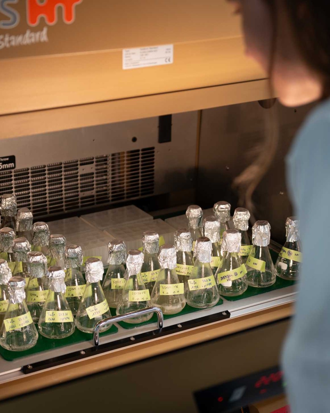 The chemical industry underpins almost every aspect of modern life, supplying the building blocks for products ranging from textiles and cosmetics to insulation materials and plastics. Yet the sector is also responsible for approximately six percent of global greenhouse gas emissions. Researchers at @ETHZurich are working to address this challenge by transforming carbon dioxide from a waste product into a valuable resource.
Through the planned spin-off Teno Bioworks, biotechnologist Ronja Rappold and her team are developing a microbial production platform that converts captured CO₂ into high-value chemicals. The approach could help reduce the chemical industry’s dependence on fossil feedstocks while creating more sustainable pathways for manufacturing materials used across multiple design sectors.
Read more MaterialDistrict.com
#MaterialInspiration #Materials #CO2Utilisation #CarbonCapture #GreenChemistry #Biotechnology #MaterialInnovation #SustainableMaterials #CircularEconomy #ClimateTech #BioBasedMaterials #SustainablePlastics #IndustrialBiotech #MaterialDesign #ProductDesign #PackagingDesign #ETHZurich #TenoBioworks