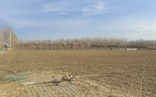 Bamboo-Based Composite Drone Demonstrates Potential of High-Performance Bio-Based Materials