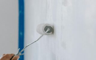 Biobased And Microplastic-Free Interior Wall Paint Launched By Wijzonol