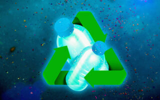 Ocean Bacteria Reveal How Biodegradable Plastics Really Break Down