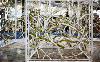 Recycled Paper Waste Forms Living Papercrete Installation