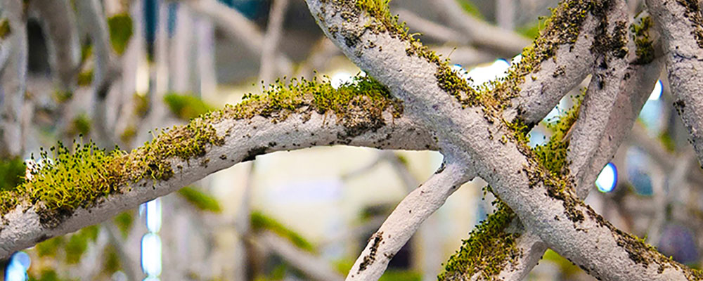 Recycled Paper Waste Forms Living Papercrete Installation