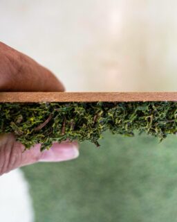 Made from leftover materials of preserved reindeer moss that would otherwise go to waste. ReMoss by @Moswand.eu / More at MaterialDistrict.com

#MaterialoftheDay #Materials #InteriorDesign #BiobasedMaterials #HealingEnvironment