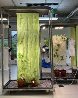 The integration of living systems into interiors is gaining traction. A project by 4TU.Design United explores how bioreceptive textiles can support plant growth and reshape indoor environments. Developed by @otomico ’s plant studio and the Wearable Senses Lab at TU Eindhoven, the research shows how textiles can act as living materials rather than static surfaces.
Read more at MaterialDistrict.com
#MaterialInspiration #Materials #BioreceptiveDesign #LivingMaterials #TextileInnovation #InteriorDesign #SustainableDesign #MaterialInnovation #BiophilicDesign #CircularDesign