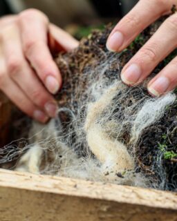 Green roofs are widely used in architecture. They help manage rainwater, support biodiversity and improve thermal performance. Yet many systems still rely heavily on synthetic materials. In fact, conventional green roofs can contain up to 50–75% plastic. Architect Jennifer de Jonge, founder of @faunest_architect, aims to change this. She is developing a fully biobased and self-sustaining green roof system: the Roofed Green Tray.

Read more at MaterialDistrict.com

#MaterialInspiration #Materials #BiobasedMaterials #GreenRoof #SustainableArchitecture #CircularDesign #MaterialInnovation #NatureInclusiveDesign #WoolMaterial #EcoDesign #LandscapeArchitecture #SustainableBuilding