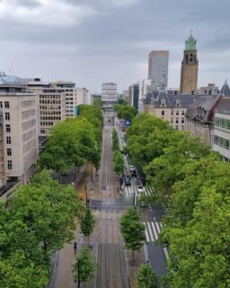 A recent international study led by @MIT highlights a growing challenge for cities worldwide: unequal access to urban shade. While trees are widely recognised as a simple and effective way to reduce heat in cities, their distribution is far from equitable. The findings reveal important implications for architects, landscape architects and urban designers working on climate-adaptive environments.

Read more at MaterialDistrict.com

#MaterialInspiration #Materials #UrbanDesign #LandscapeArchitecture #ClimateAdaptation #UrbanHeatIsland #TreeCanopy #SustainableCities #ClimateResponsiveDesign #PublicSpace #GreenInfrastructure #DesignForEquity