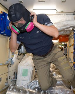 Sheep’s wool, one of the oldest textile materials, is being reimagined for high-performance filtration. In collaboration with @NASA, New Zealand-based company @lanacocleanair has developed a wool-based filter system for use in spacecraft. This innovation shows how natural fibres can compete with, and even outperform, synthetic materials in extreme conditions.

The development responds to a critical safety challenge. After a fire in a spacecraft, harmful gases and fine particles remain in the air. Astronauts on the Orion spacecraft cannot move to another module, so they must rely on effective filtration. NASA contractor Amentum worked with Lanaco to improve the filters used in emergency firefighting masks.

Read more at MaterialDistrict.com

#MaterialInspiration #Materials #Wool #AirFiltration #BiobasedMaterials #MaterialInnovation #SustainableDesign #CircularMaterials #NASATech #ProductDesign #IndustrialDesign #FutureMaterials