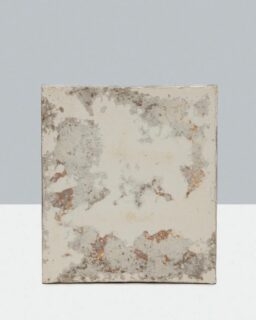 Biodegradable, carbon-negative materials made using mycelium, the root system of fungi, to bind organic waste into durable, non-flammable, and sound-absorbing products. Myceen by @myceen_com / More at MaterialDistrict.com

#MaterialoftheDay #Materials #Mycelium #InteriorDesign #ProductDesign #BiobasedMaterials