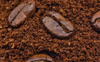 Coffee Waste Upcycled Into High-Performance Biodegradable Insulation