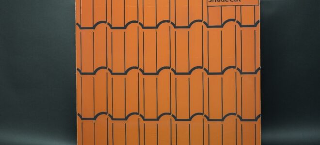 Coloured Solar Films Enable Custom Patterns on Photovoltaic Modules