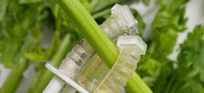 Compostable Soft Robotics: Plant-Based Materials That Return to the Soil