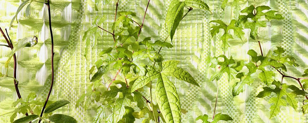 Bioreceptive Textiles Enable Plant–Human Interaction In Interior Spaces