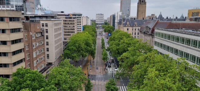Urban Shade Inequality: Why Tree Placement Matters For Climate-Responsive Design