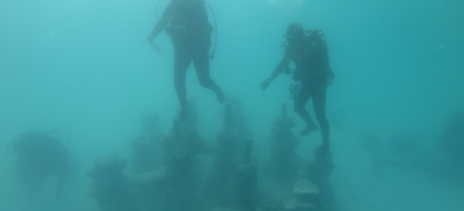 3D Printed Purpose-Built Reefs Advance Scalable Marine Restoration