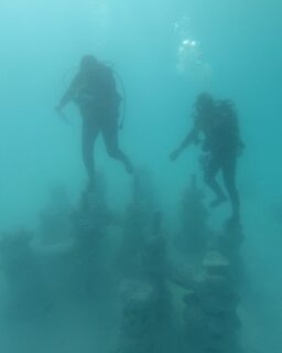 In 2025, Dutch startup @Coastruction deployed three large-scale Purpose-Built Reefs (PBRs). These structures support coral growth and marine biodiversity. The project combines biomimicry, computational design and large-scale 3D printing. As a result, it shows how advanced fabrication can contribute to ecological restoration.

Read more at MaterialDistrict.com

#MaterialInspiration #Materials #3DPrinting #CircularMaterials #ReefRestoration #Biomimicry #SustainableDesign #MaterialInnovation #NatureBasedSolutions #MarineBiodiversity #AdditiveManufacturing #ClimateDesign