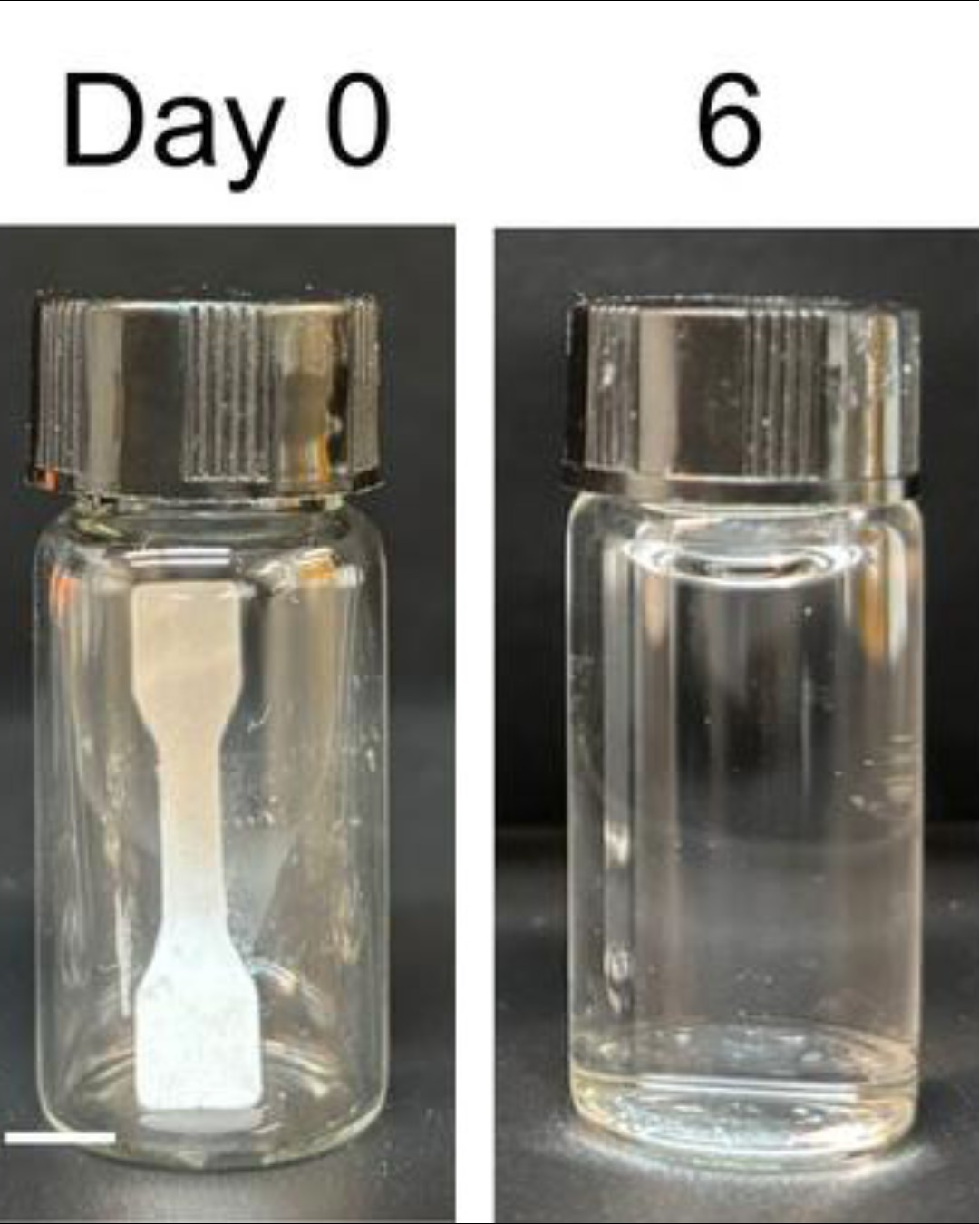 A new type of “living plastic” could change how designers approach short-life products such as packaging, wearables and temporary components. Researchers have developed a material that can break itself down on command—without leaving microplastics behind.

Read more at MaterialDistrict.com

#MaterialInspiration #Materials #LivingMaterials #SelfDestructingPlastic #CircularDesign #SustainableMaterials #MaterialInnovation #Biobased #DesignInnovation #PlasticAlternatives