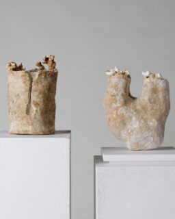 Mycelium-based composite (MBC), composed of hemp shiv, shredded cardboard, wheat bran and reishi (Ganoderma Lucidum) millet grain spawn. Sculptural Mycelium by @gk.g_design / More at MaterialDistrict.com

#MaterialoftheDay #Materials #Mycelium #ProductDesign #Art
