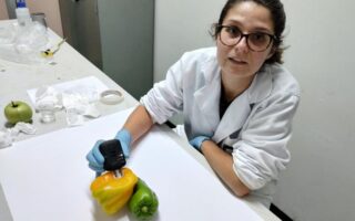 Biodegradable Plant Sensors Enable Rapid Pesticide Detection