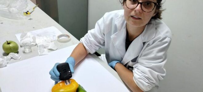 Biodegradable Plant Sensors Enable Rapid Pesticide Detection