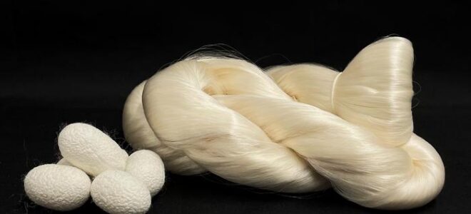 From Silkworm to Super Material: Fused Silk Rivals Kevlar in Strength