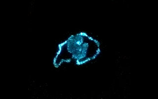 Living Light: Bioluminescent Algae As A Material For Sustainable Illumination