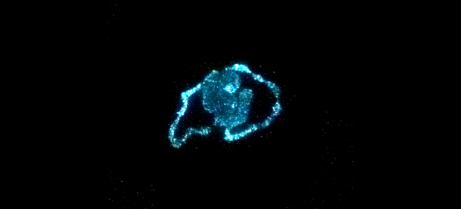 Living Light: Bioluminescent Algae As A Material For Sustainable Illumination