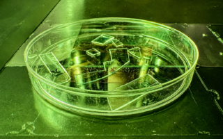 Nanotextured Plastic Film Mechanically Neutralises Viruses On Contact
