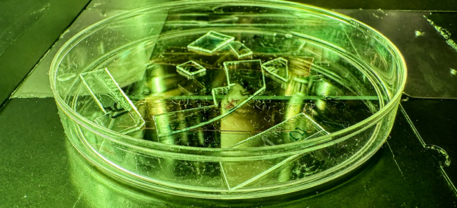 Nanotextured Plastic Film Mechanically Neutralises Viruses On Contact
