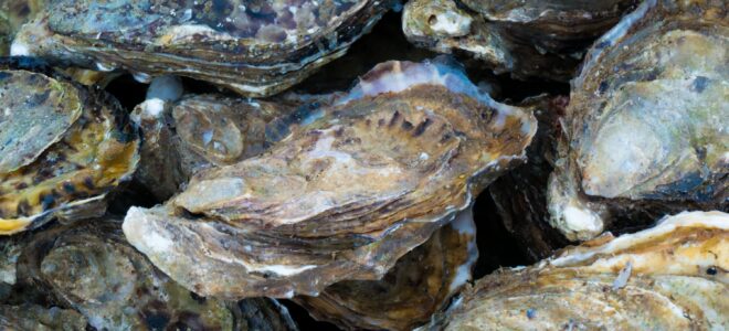 Oyster-Inspired Cement Promises Stronger, And More Sustainable Construction Materials