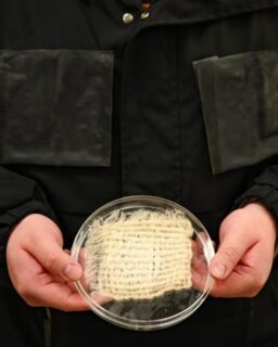 Researchers at @UTAustinTX have developed a textile that can harvest drinking water directly from the air. Integrated into a prototype jacket, the material captures moisture and converts it into potable water. The innovation could support outdoor recreation, emergency response and water access in remote regions.
Most atmospheric water harvesting technologies rely on stationary systems such as panels, boxes or large sorbent units. The Texas researchers took a different approach. They embedded the technology directly into fabric. This creates new opportunities for wearable products and portable water collection systems.
Read more at https://materialdistrict.com/article/wearable-textile-harvests-drinking-water-from-air/
#MaterialInspiration #Materials #AtmosphericWaterHarvesting #SmartTextiles #MaterialInnovation #WaterTechnology #WearableTechnology #Hydrogel #AdvancedMaterials #SustainableDesign #CircularDesign #ProductDesign #OutdoorGear #EmergencyDesign #MaterialResearch #FutureMaterials