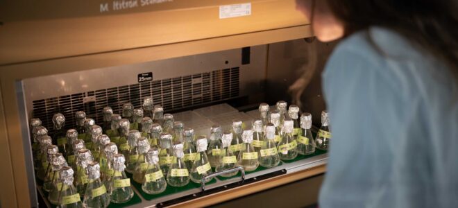 Bacterial Factories Turn CO₂ into Feedstock for Sustainable Materials
