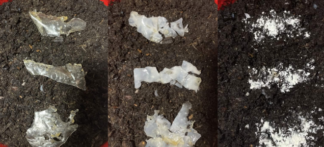 Eco Purge: Biodegradable Plastic Designed To Break Down Microplastics