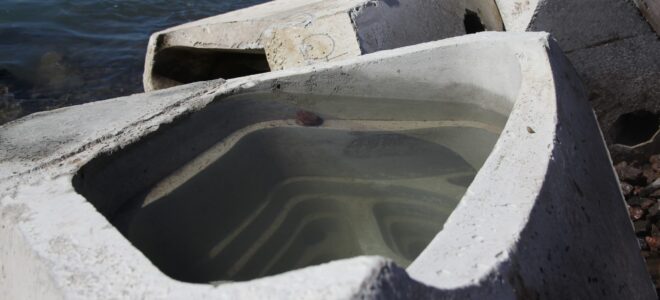 Ecologically Engineered Concrete Habitat Units Enhance Marine Biodiversity at New Zealand Port